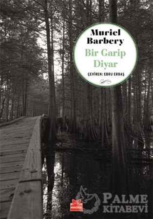 Resim Bir Garip Diyar