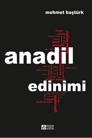 Resim Anadil Edinimi