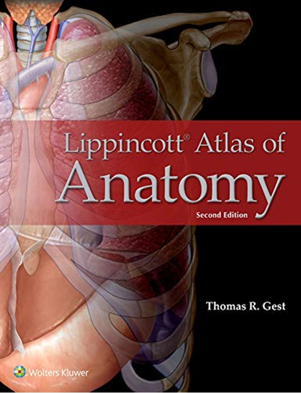resm Lippincott Atlas of Anatomy 2e