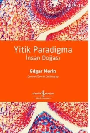Resim Yitik Paradigma
