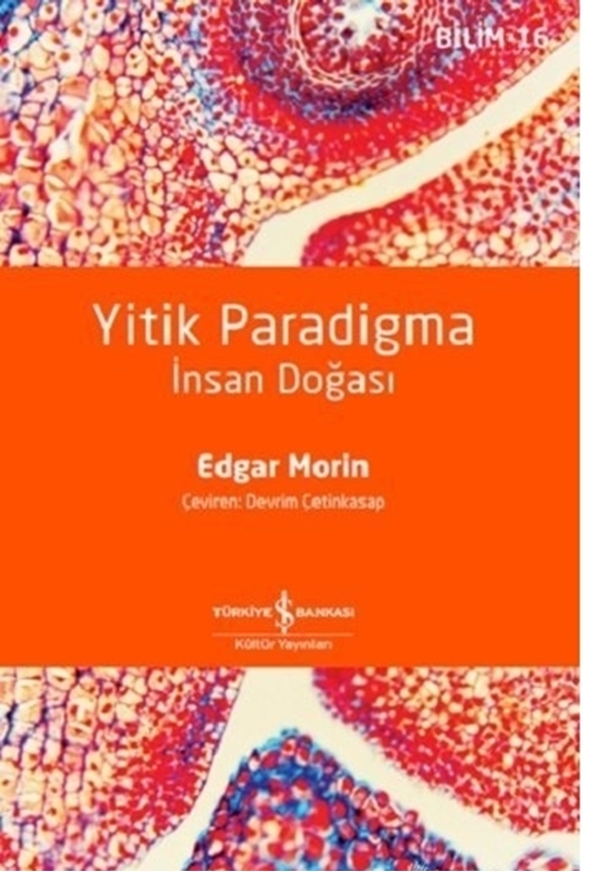 resm Yitik Paradigma