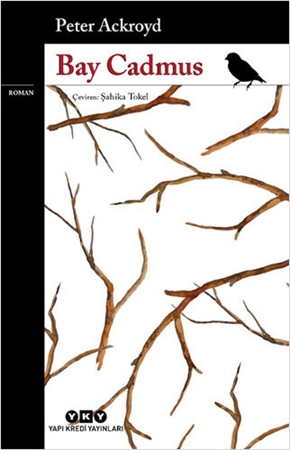 Resim Bay Cadmus Yapı Kredi Yayınları