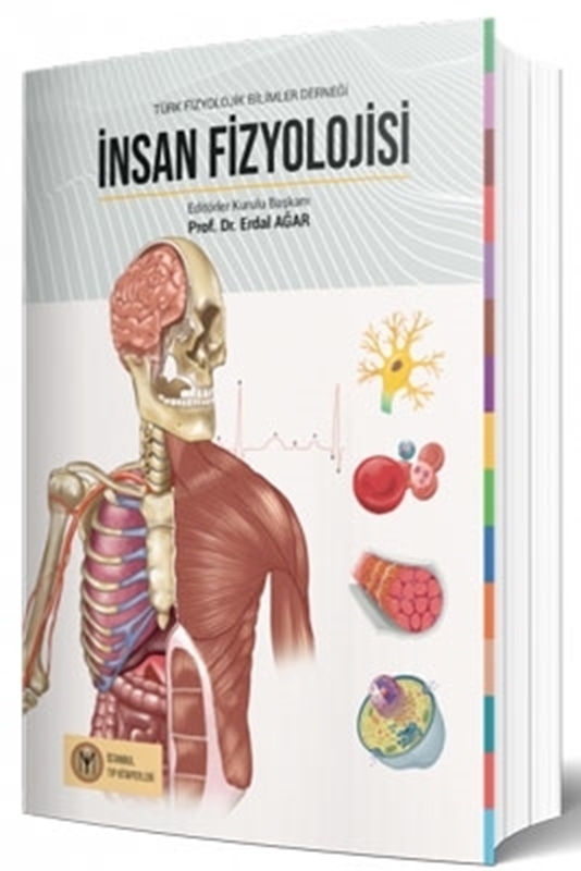 resm İnsan Fizyolojisi İstanbul Tıp Kitabevi