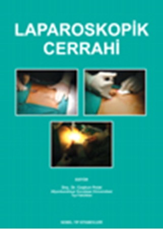 Resim Laparoskopik Cerrahi