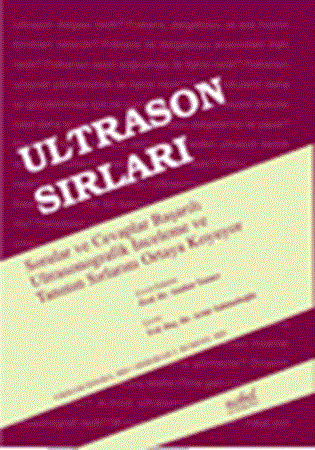 Resim Ultrason Sırları