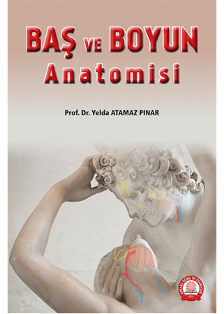 Resim Baş ve Boyun Anatomisi