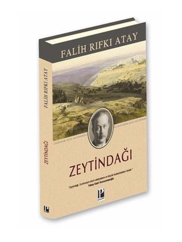 resm Pozitif Yayıncılık Zeytindağı - Özel Baskı