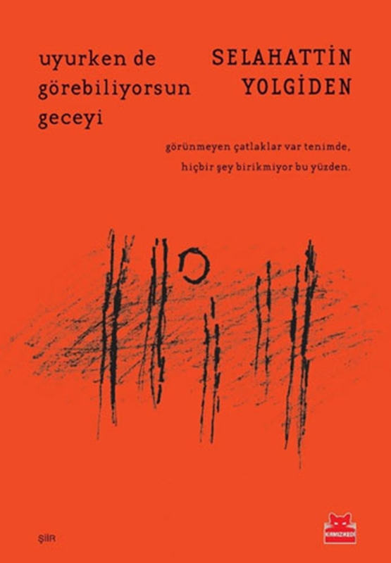 resm Uyurken de Görebiliyorsun Geceyi