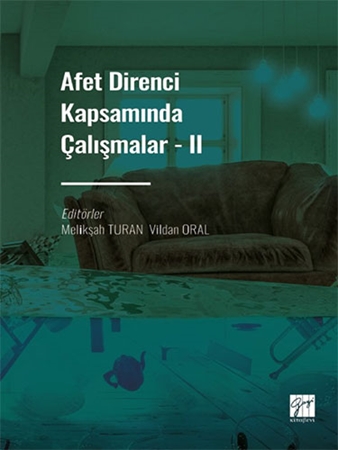 Resim Afet Direnci Kapsamında Çalışmalar - II