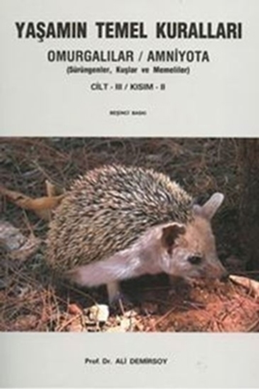 resm Yaşamın Temel Kuralları Cilt 3 - Kısım 2