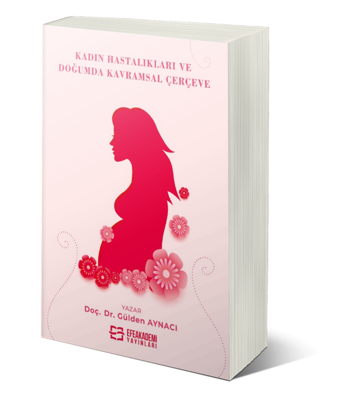 resm Kadın Hastalıkları ve Doğumda Kavramsal Çerçeve