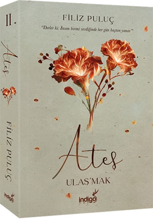 Resim Ateş – Ulaş’mak İndigo Kitap