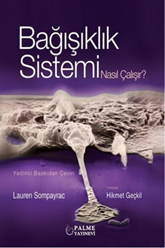 resm Bağışıklık Sistemi Nasıl Çalışır ?