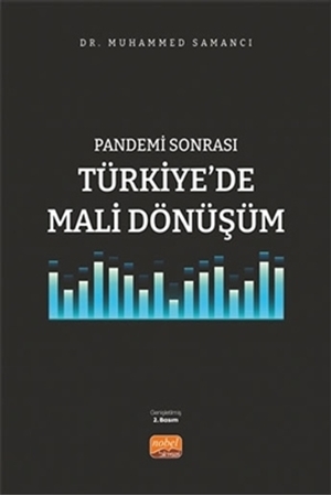 Resim Pandemi Sonrası Türkiye'de Mali Dönüşüm