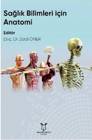 Resim Sağlık Bilimleri İçin Anatomi - Zülal ÖNER