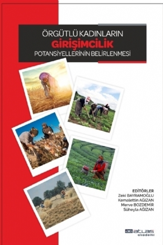 resm Örgütlü Kadınların Girişimcilik Potansiyellerinin Belirlenmesi