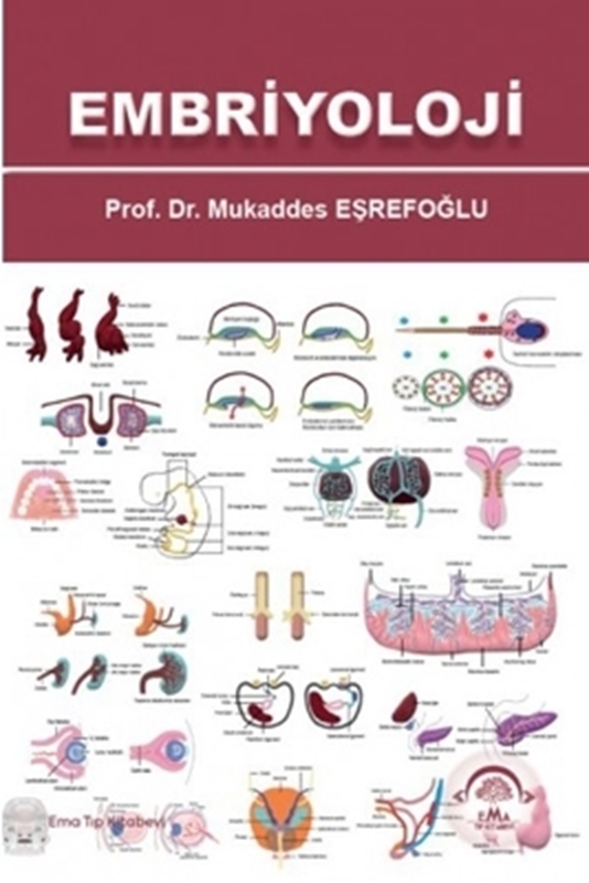 resm Embriyoloji