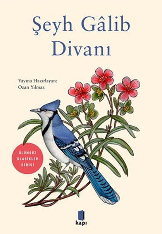 resm Şeyh Gâlib Divanı