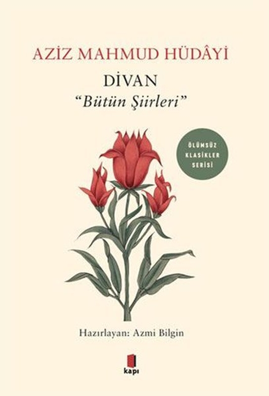 resm Divan-Bütün Şiirleri