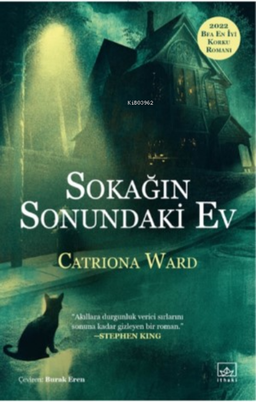 resm Sokağın Sonundaki Ev