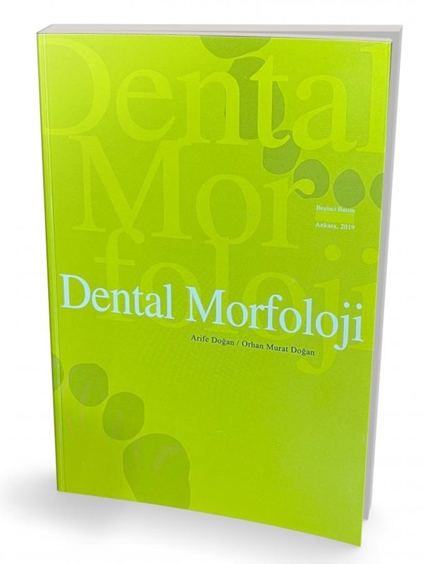 resm Dental Morfoloji