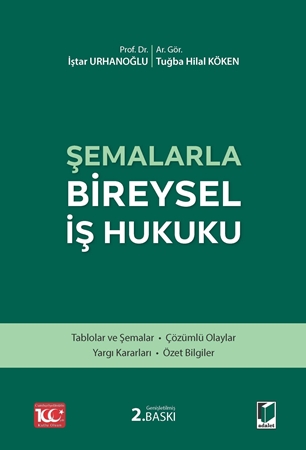 Resim Şemalarla Bireysel İş Hukuku