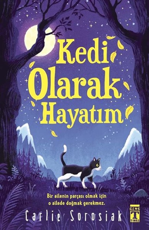 resm Kedi Olarak Hayatım