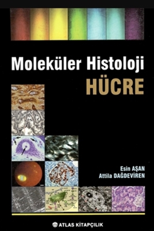 resm Moleküler Histoloji Hücre