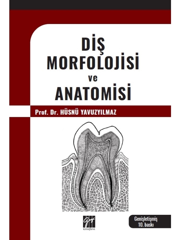 resm Diş Morfolojisi ve Anatomisi