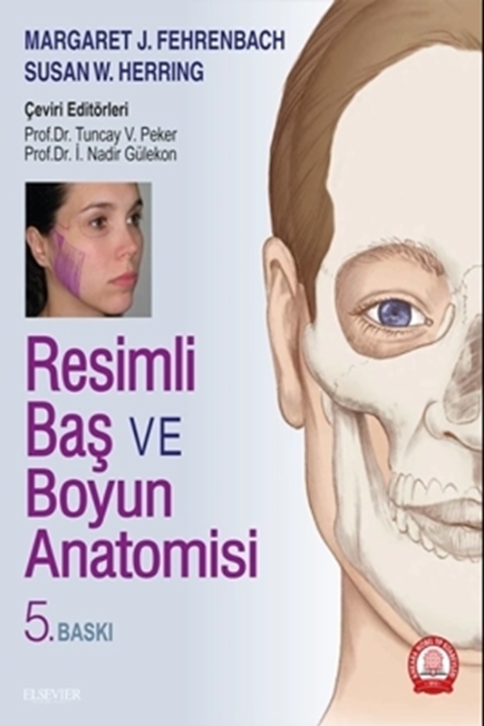 resm Resimli Baş ve Boyun Anatomisi