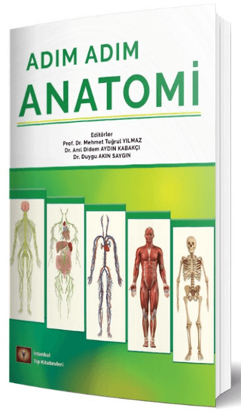 resm Adım Adım Anatomi