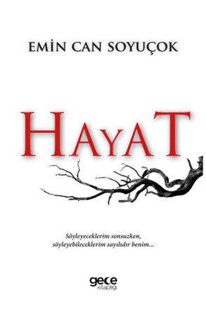 Resim Hayat