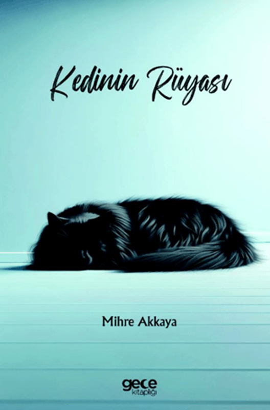 resm Kedinin Rüyası