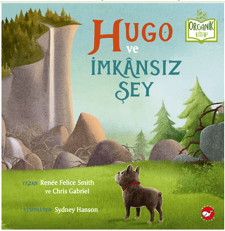 resm Hugo ve İmkânsız Şey