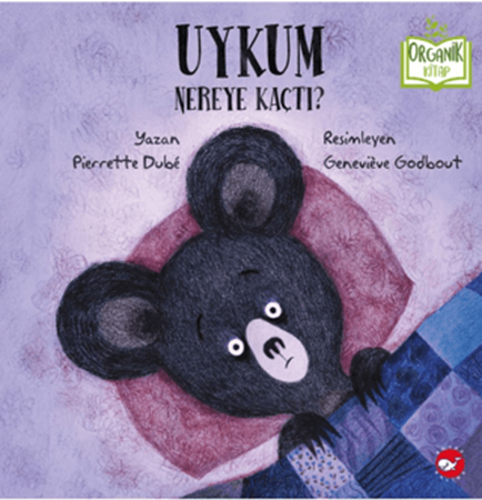 Resim Uykum Nereye Kaçtı?