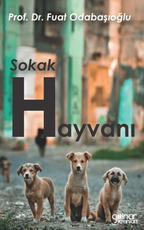 resm Sokak Hayvanı