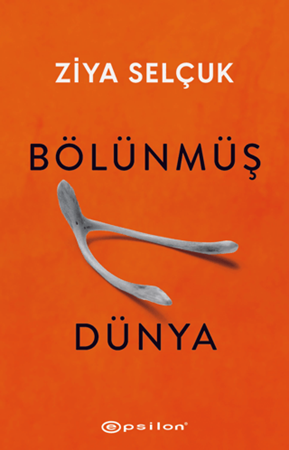 Resim Bölünmüş Dünya