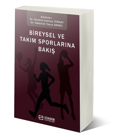 Resim Bireysel Ve Takım Sporlarına Bakış