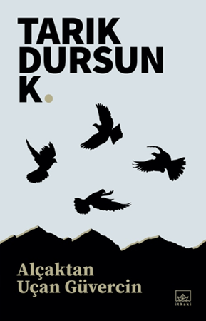 Resim Alçaktan Uçan Güvercin