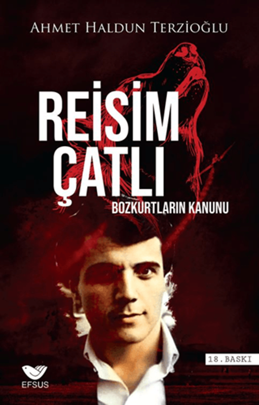 resm Reisim Çatlı