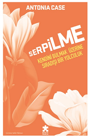 Resim Serpilme