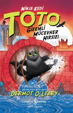 Resim Ninja Kedi Toto - Gizemli Mücevher Hırsızı