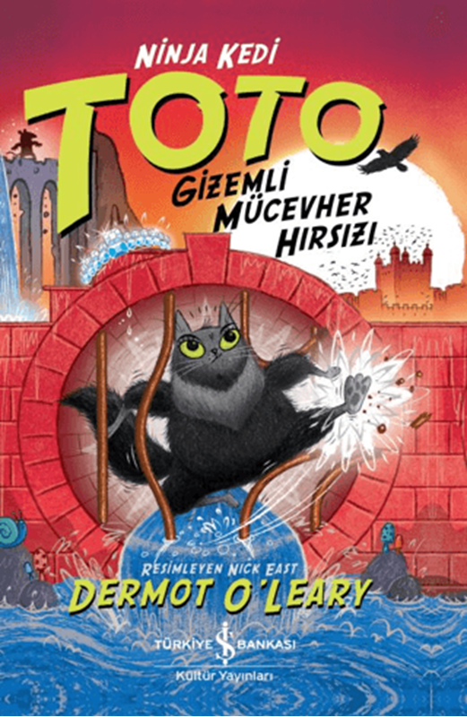 resm Ninja Kedi Toto - Gizemli Mücevher Hırsızı