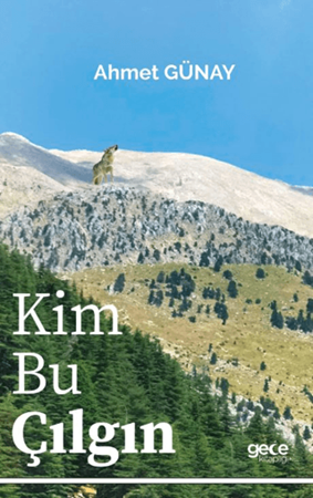 Resim Kim Bu Çılgın
