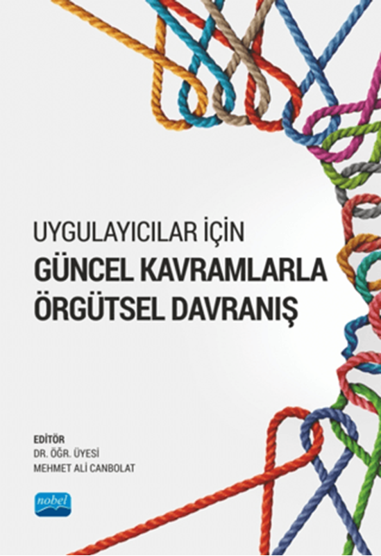 resm Uygulayıcılar İçin Güncel Kavramlarla Örgütsel Davranış