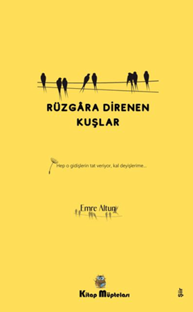 Resim Rüzgara Direnen Kuşlar