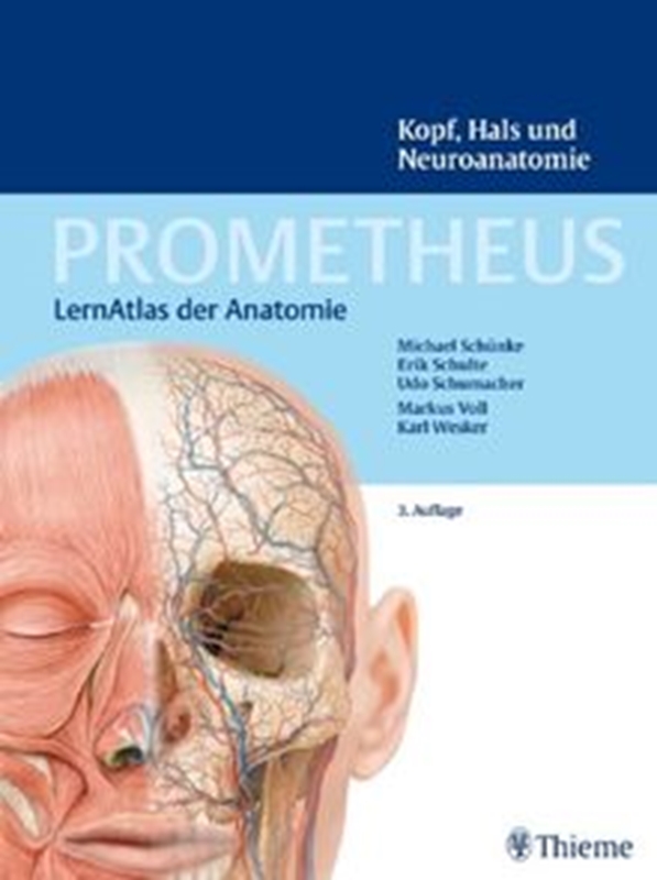 resm Prometheus Kopf Hals Und Neuroanatomie Lernatlas Anatomie