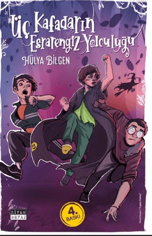 resm Üç Kafadarın Esrarengiz Yolculuğu