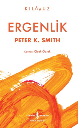 Resim Ergenlik