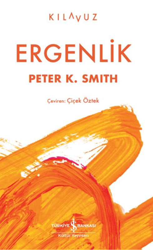 resm Ergenlik